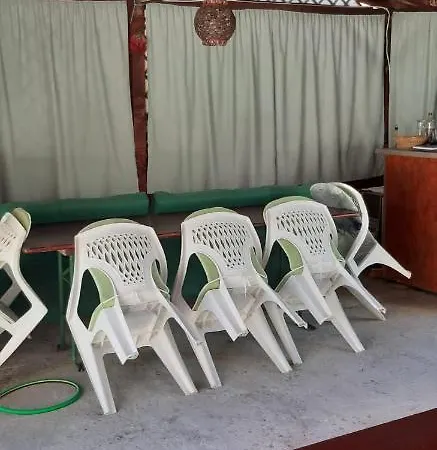 Casa Trofin *